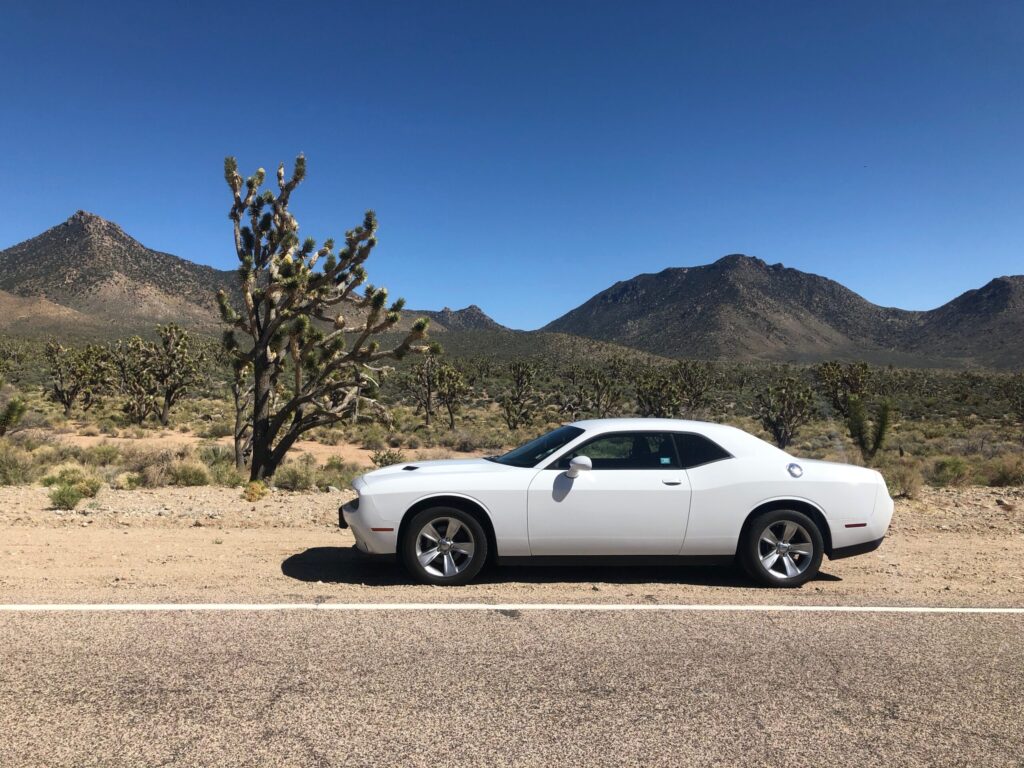 USA-Reisen-Dodge-Joshua-Tree-Nevada_Foto-Ralf-Johnen Dodge mit Joshua Tree in der Wüste Nevadas