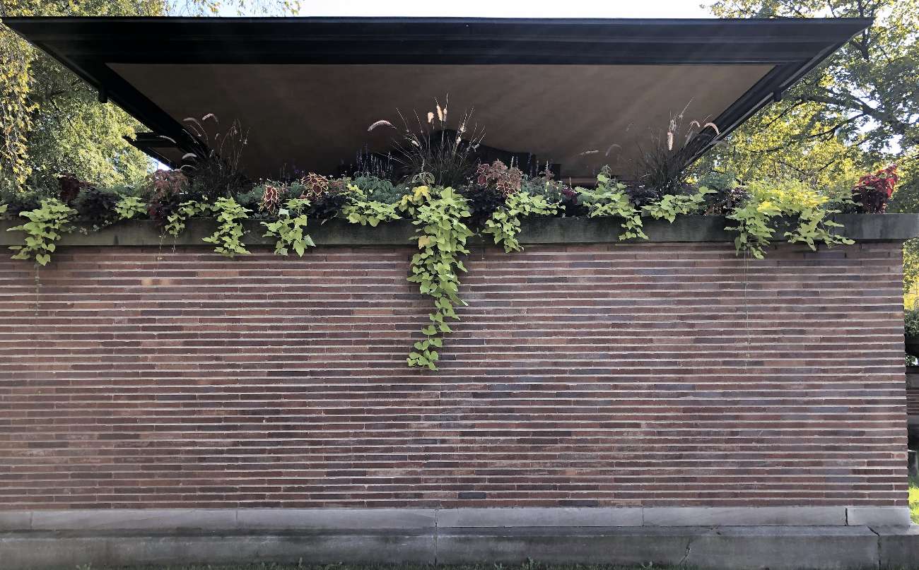 Frank-Lloyd-Wright-in-chicago-robie-house-Linien-Backstein-Pflanzen_Foto-Ralf-Johnen Pflanzen auf dem Backstein-Balkon von Robie House in Chicago
