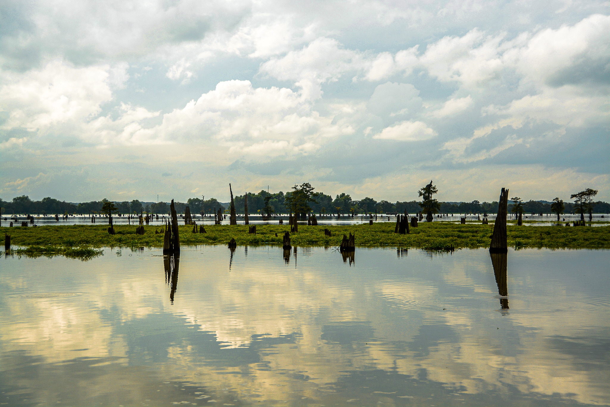 Abendhimmel spiegelt sich im Wasser der Bayous von Louisiana