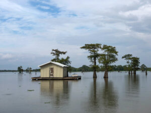 Schwimmende Hütte mit Sumpfzypressen in den Bayous von Louisiana