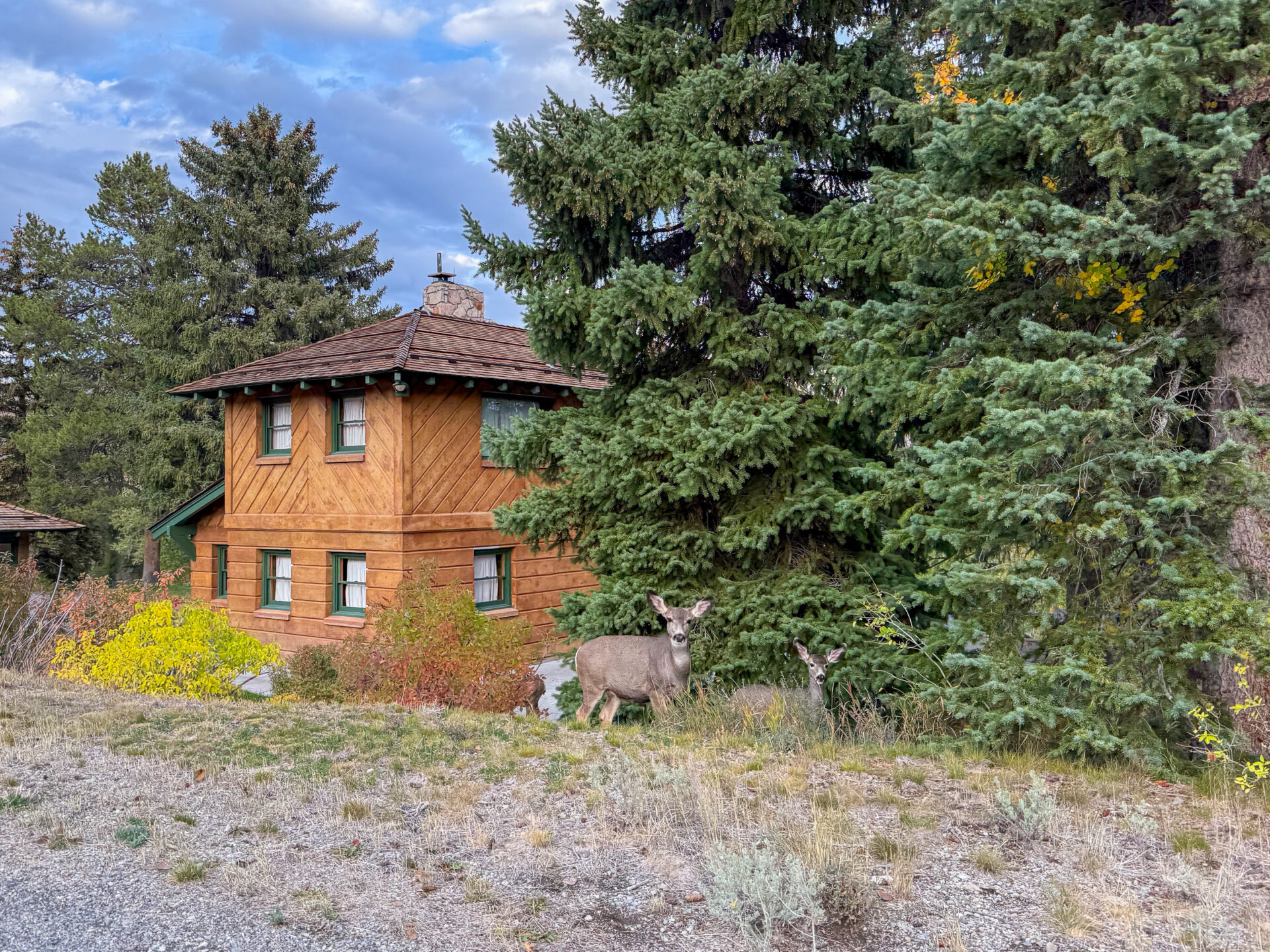 Ernest Hemingways letztes Haus in Ketchum, Idaho, mit Rehen davor