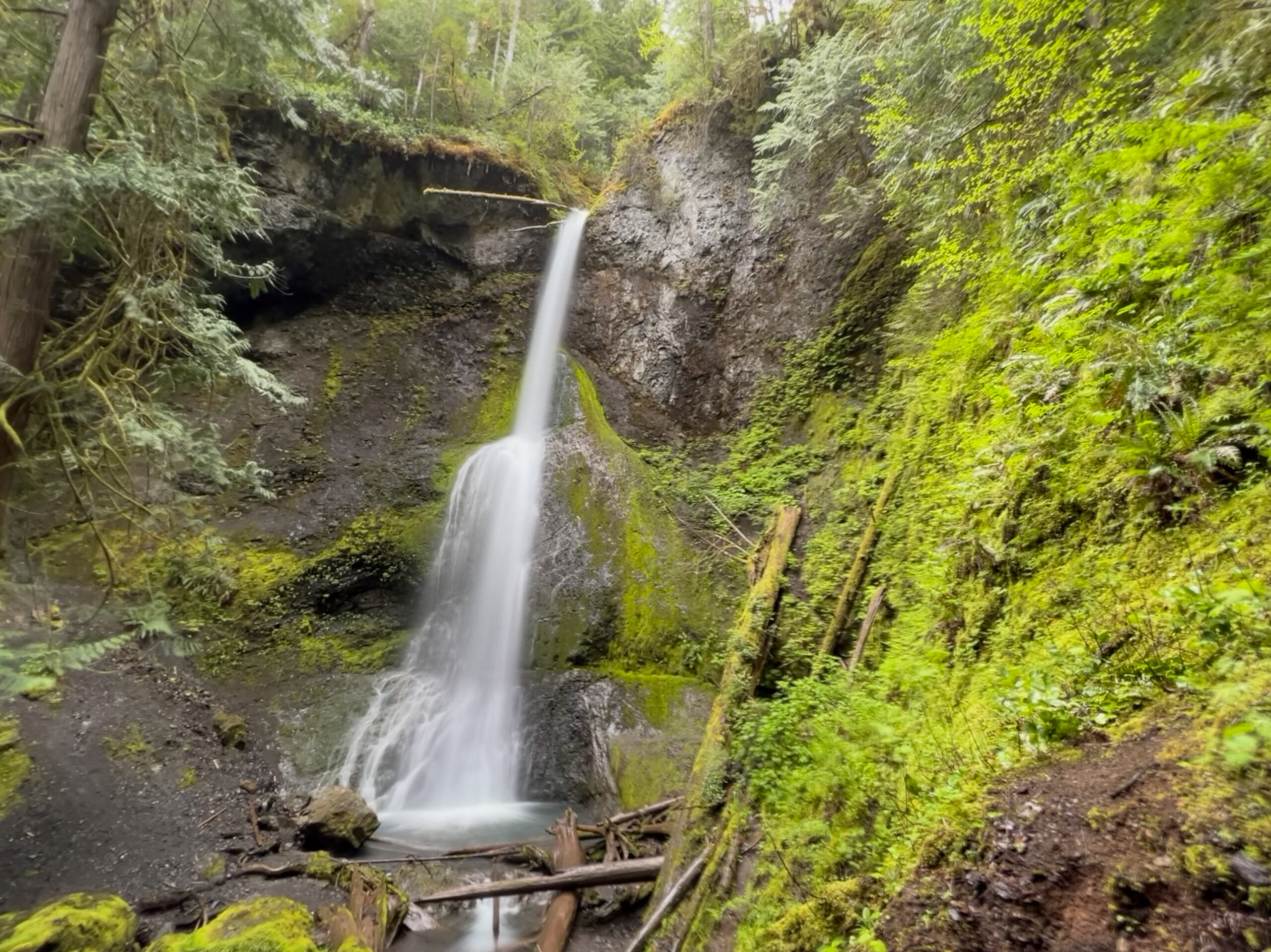 Wasserfall im Olympic National Park