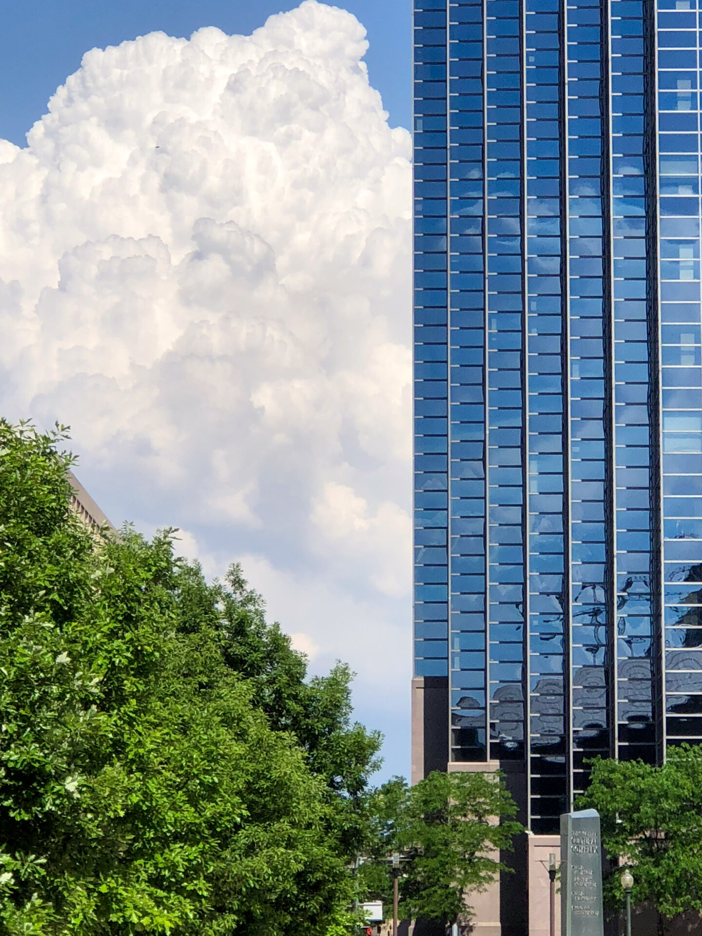 wolkenkratzer-baum-wolken-denver-colorado_foto-ralf-johnen Bäume, Wolken und Wolkenkratzer in Downtown Denver