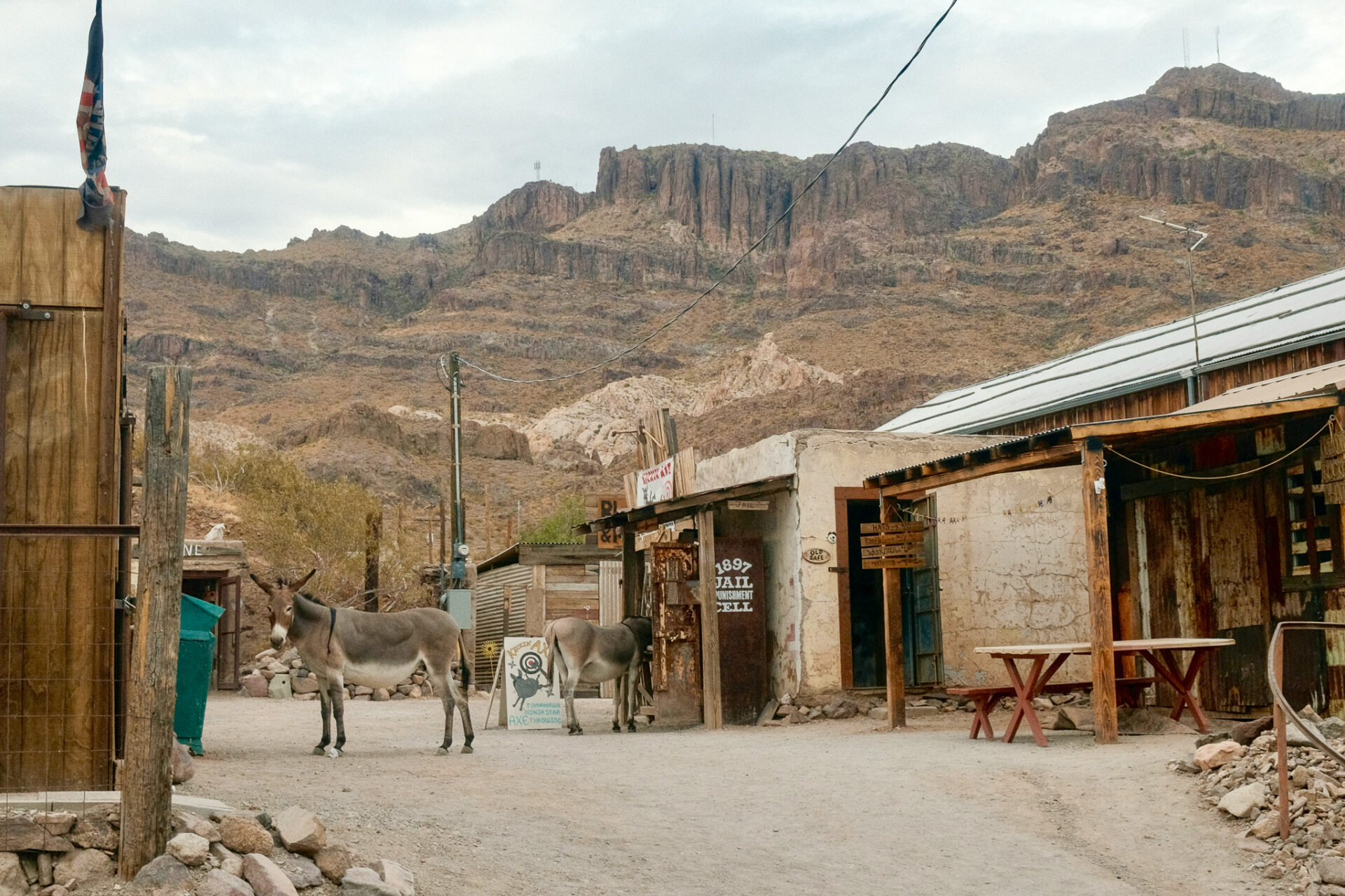 Esel auf der originaltrasse der Route 66 in Oatman beim Sitgreaves Pass 