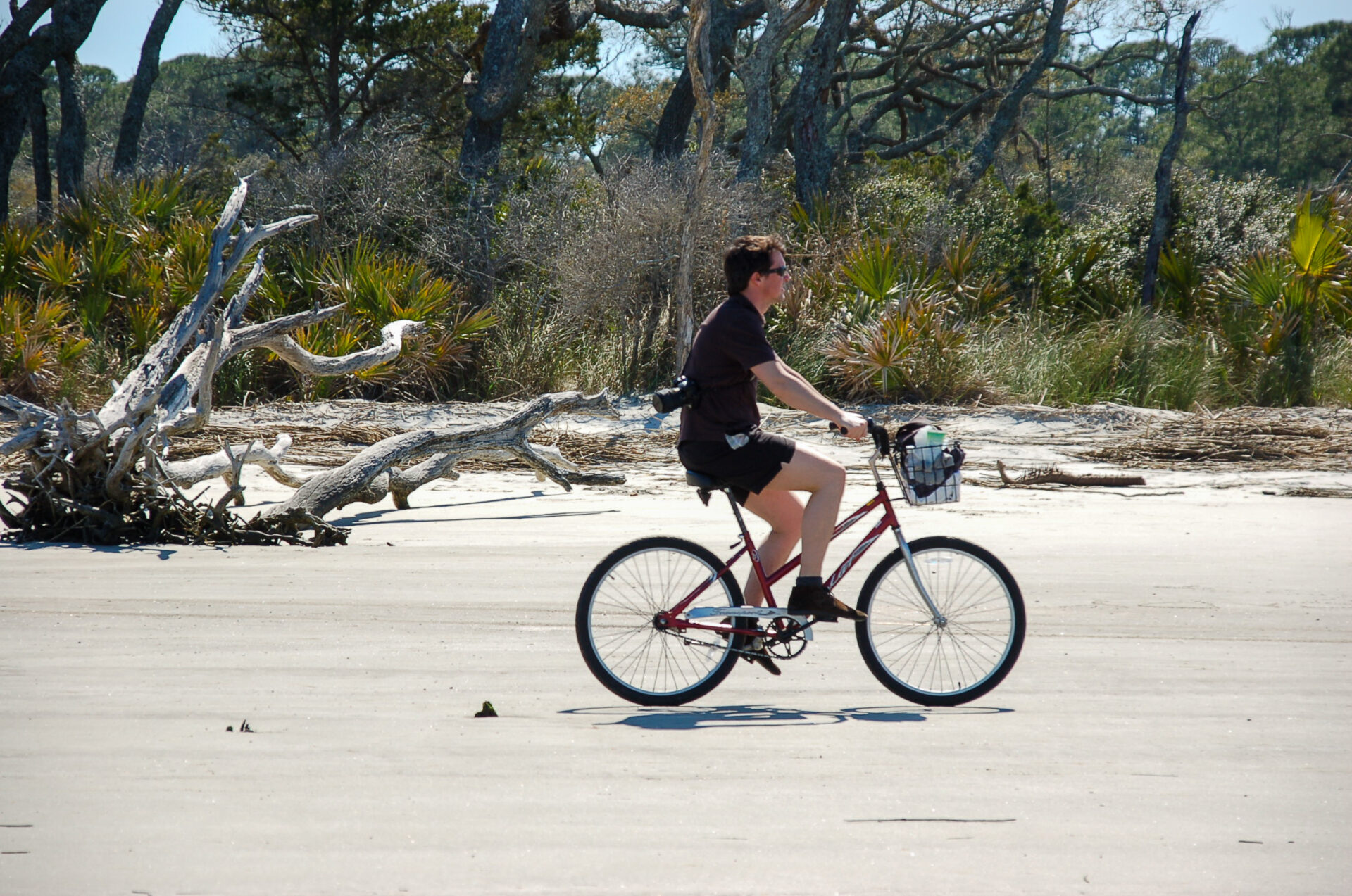 Fahrradfahrer auf dem Driftwood Beach auf Jekyll Island in Georgia 