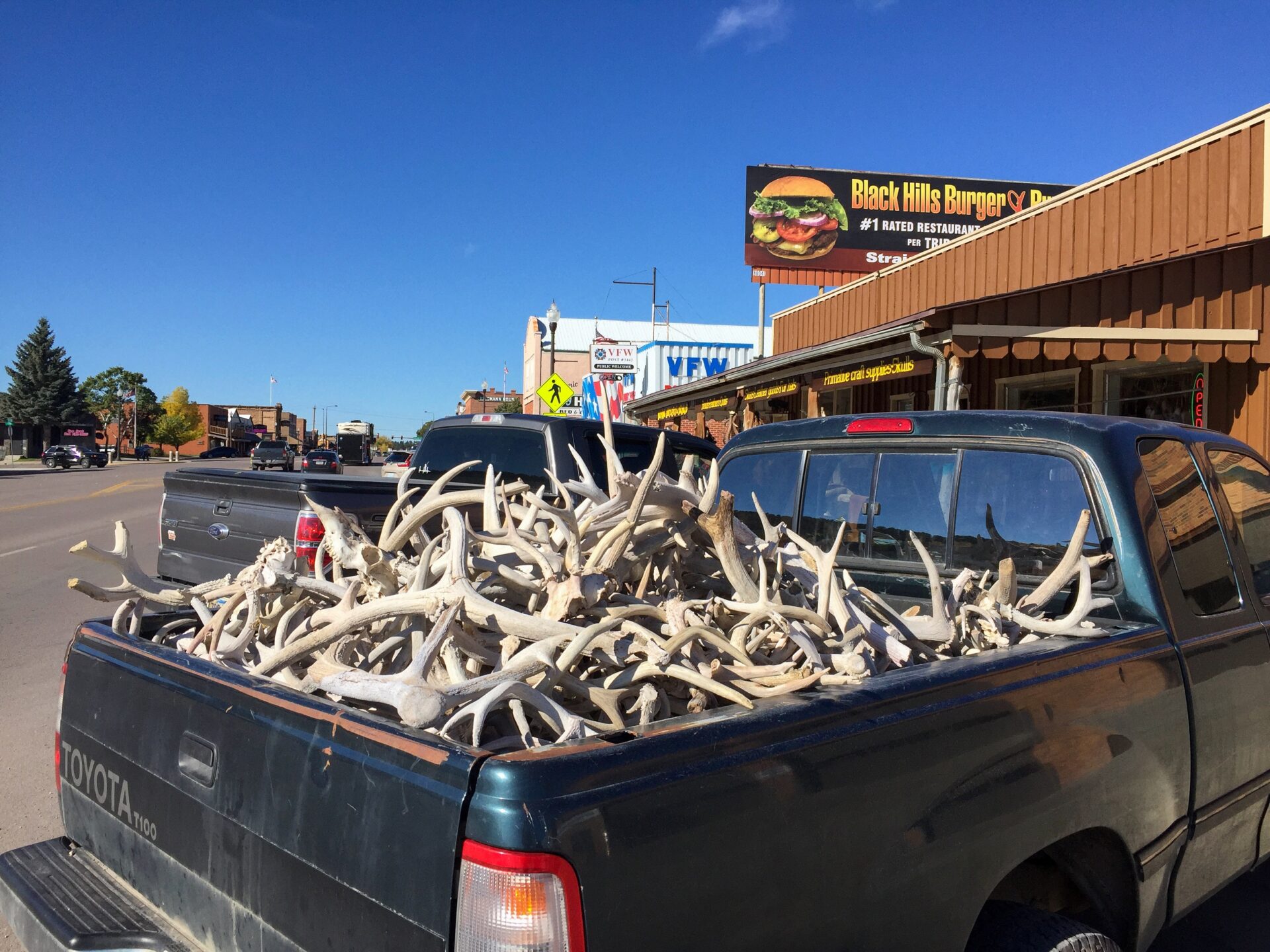 Ladefläche eines Pick-up voller Geweihe in South Dakota 