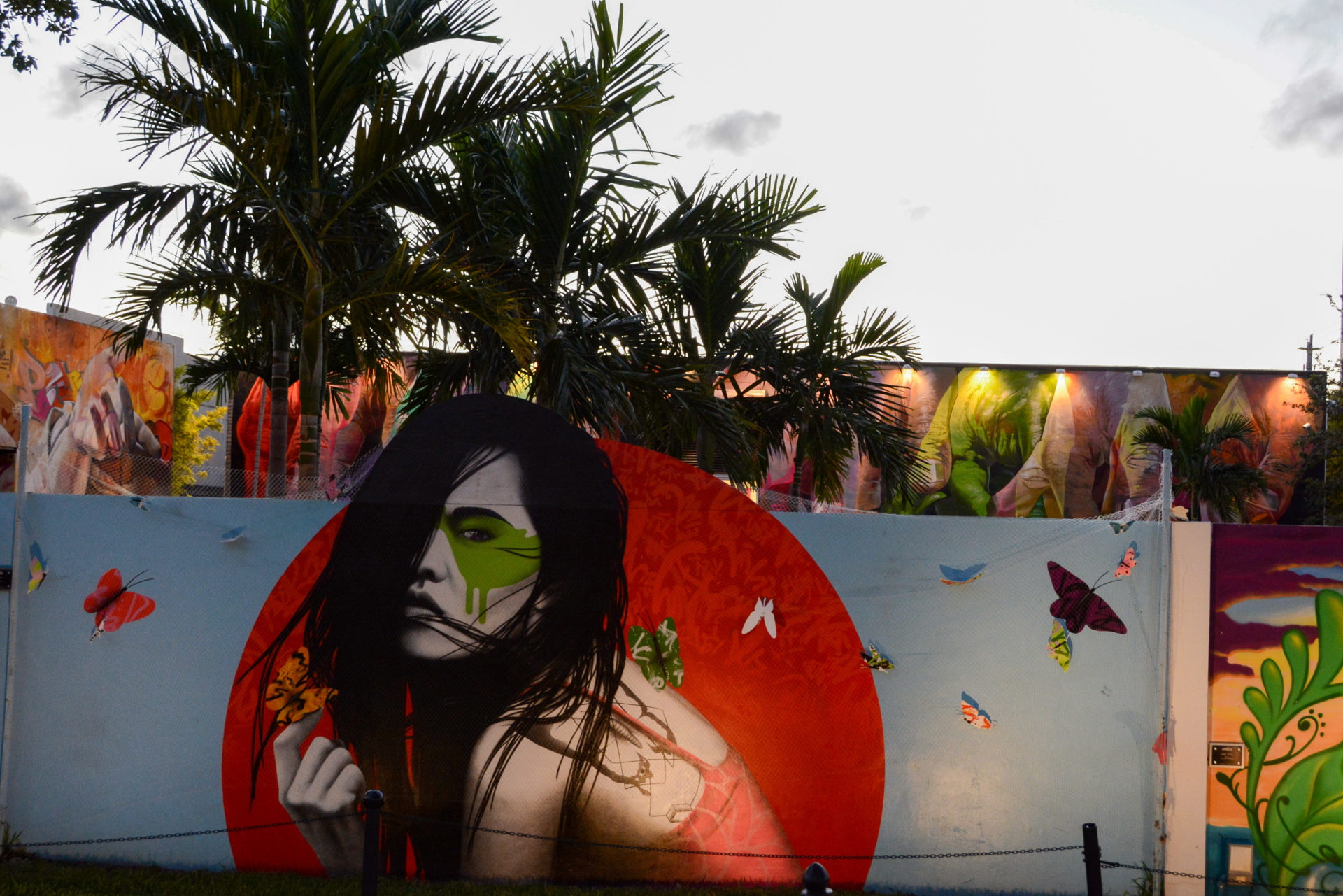 Wandgemälde bei den Wynwood Walls im Abendlicht Südfloridas 