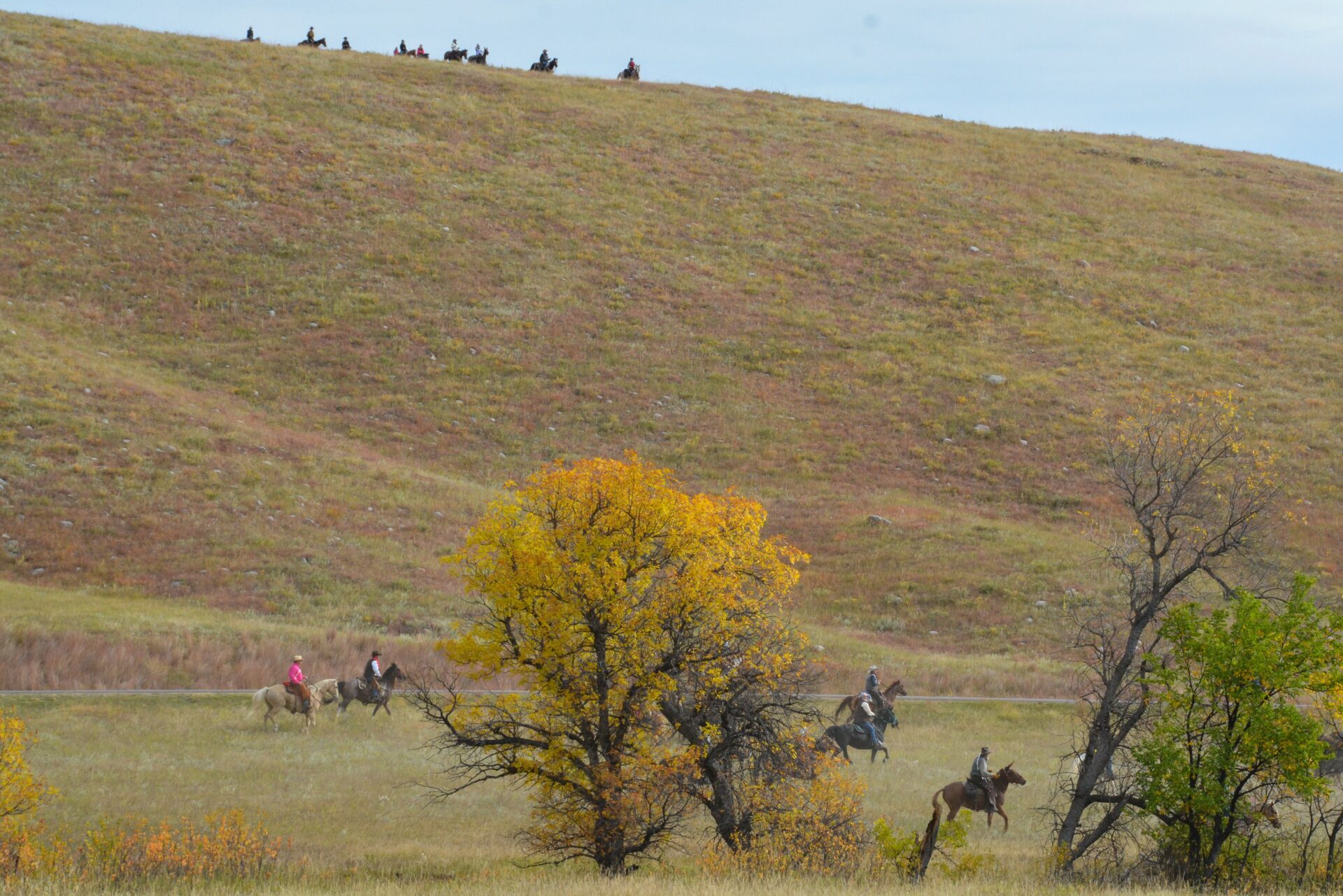 Reiter auf einer Hügelkuppe im Custer State Park