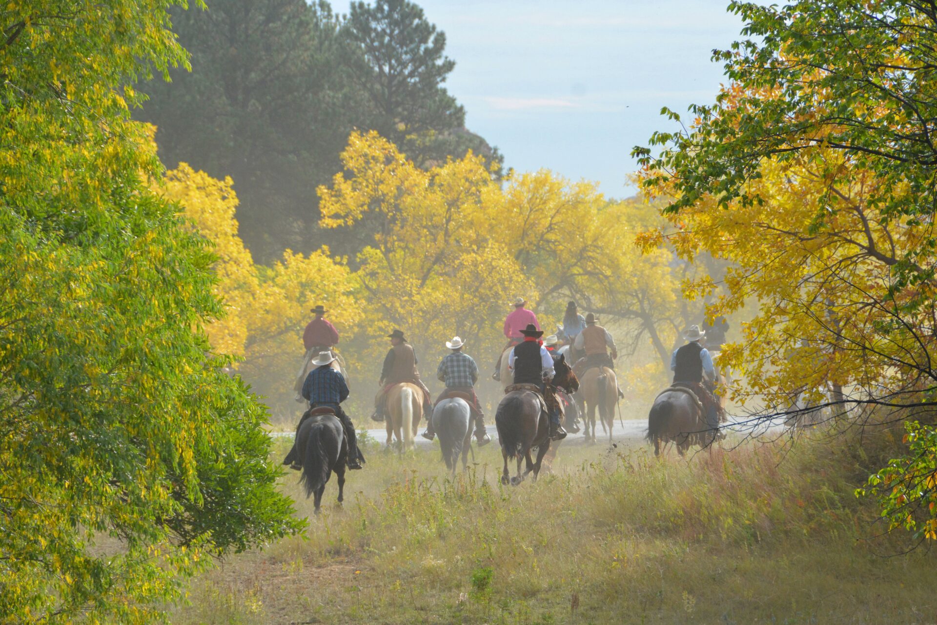 Reitergruppe im Custer State Park in South Dakota 