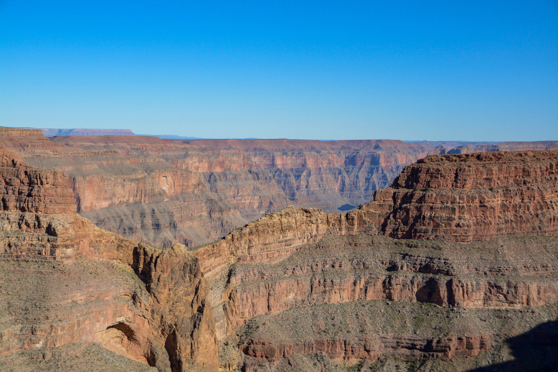Blick in den Grand Canyon beim Zugang West der Hualapai