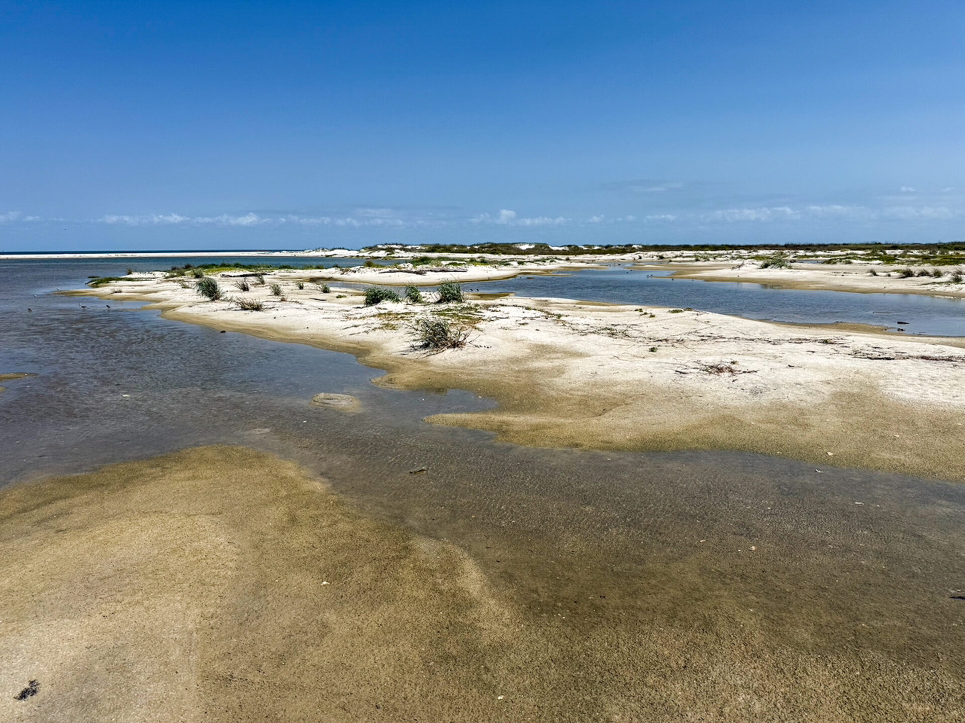 brackwassersee-ship-island-mississippi_foto-ralf-johnen