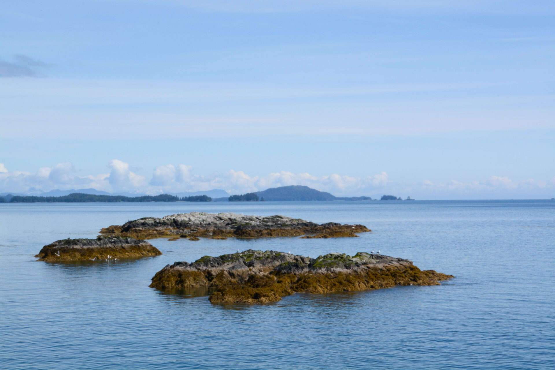 Inseln im Prinz William Sound in Alaska 