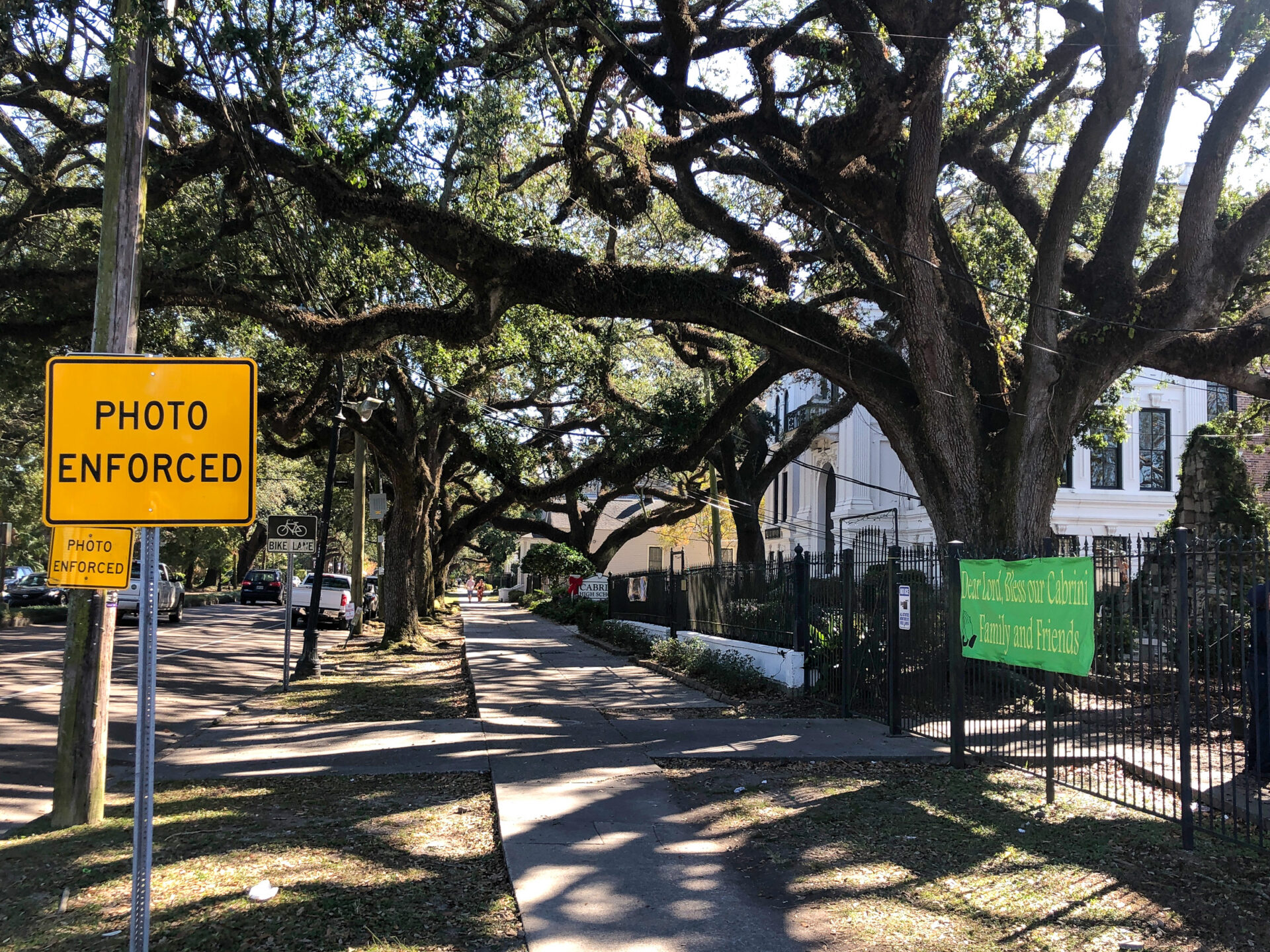 new-orleans-american-live-oak-esplanade-avenue_foto-ralf-johnen Amerikanische Eiche auf der Esplanade Avenue in New Orleans