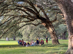 Picknick unter einer Virginia-Eiche im Audubon-Park in New Orleans