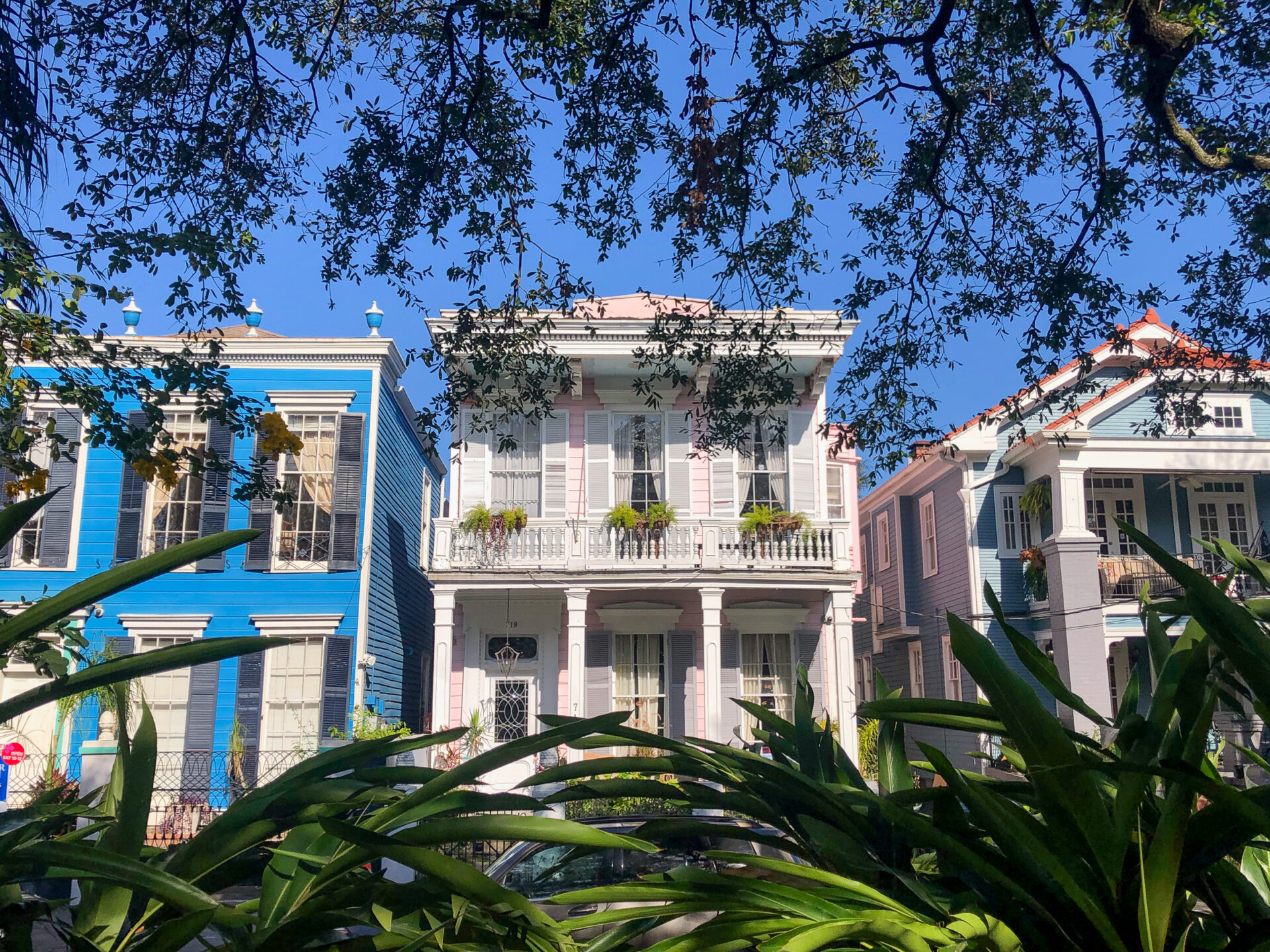 new-orleans-bunte-villen-vegetation_foto-ralf-johnen Bunter Hausfassaden auf Esplanade Avenue
