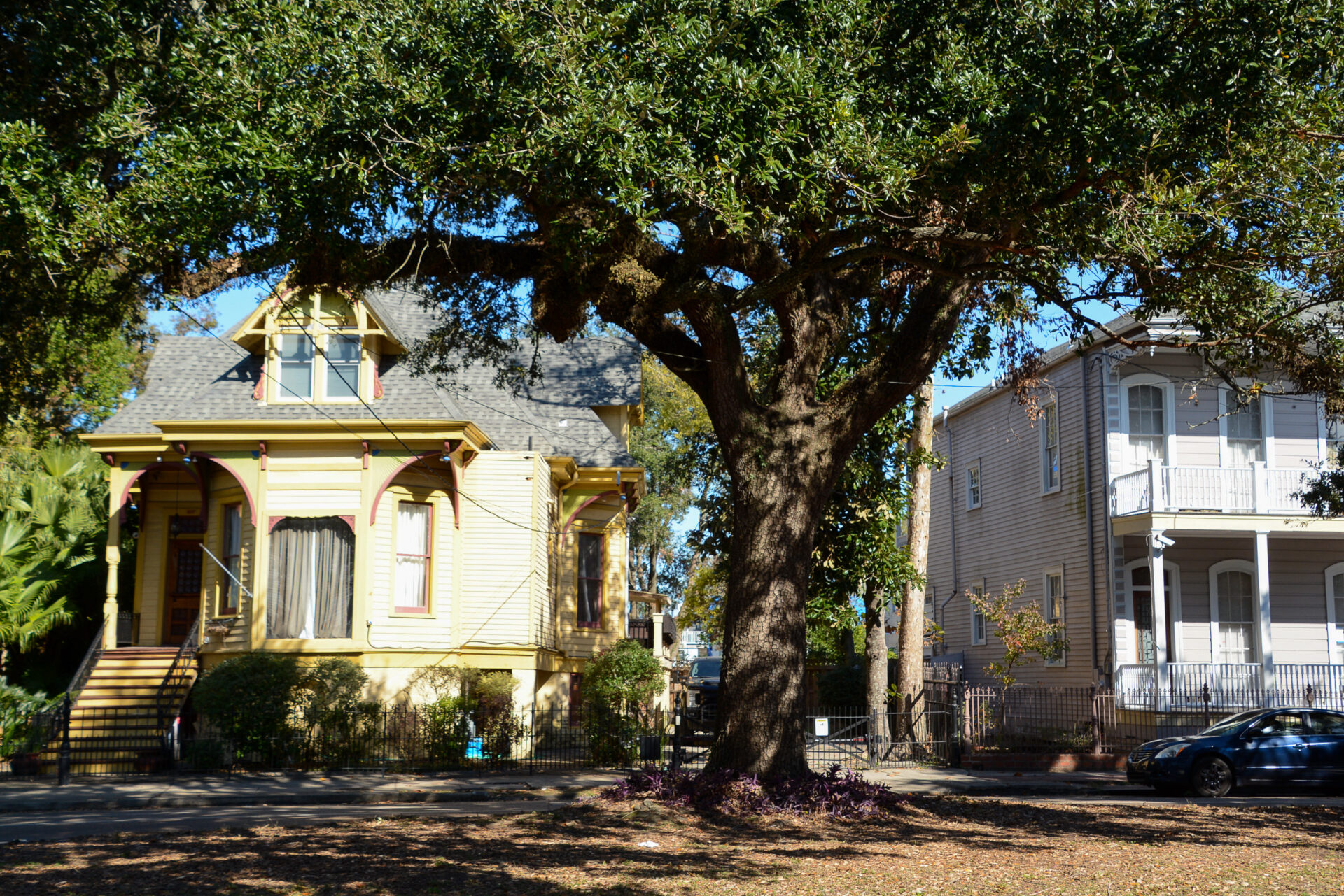 new-orleans-eichen-bunte-haeuser-esplanade-avenue_foto-ralf-johnen Villen im Viertel Tremé in New Orleans