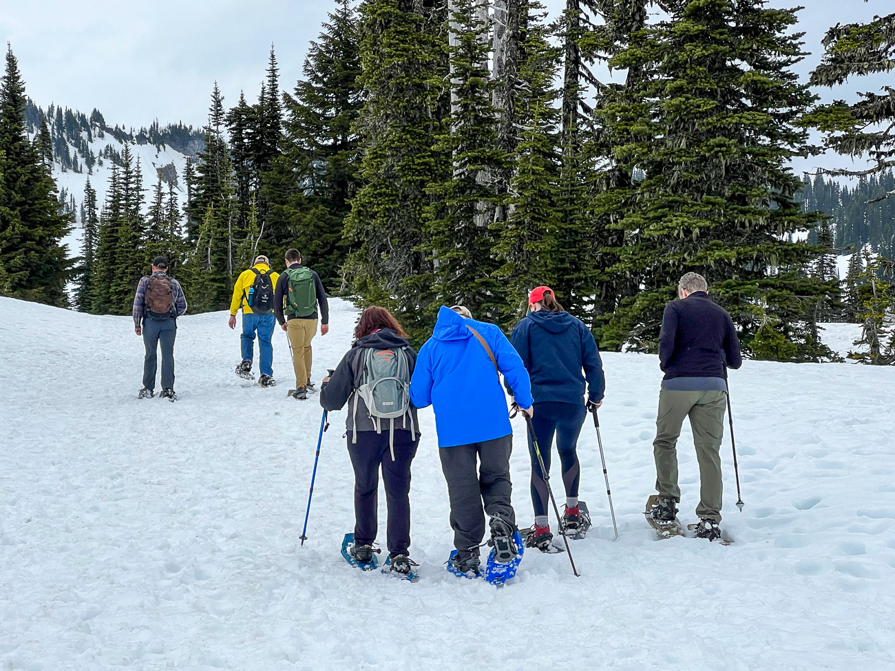 schneeschuhwanderung-mount-rainier-nationalpark-washington_foto-ralf-johnen Schneeschuhwanderer im Mount Rainier National Park