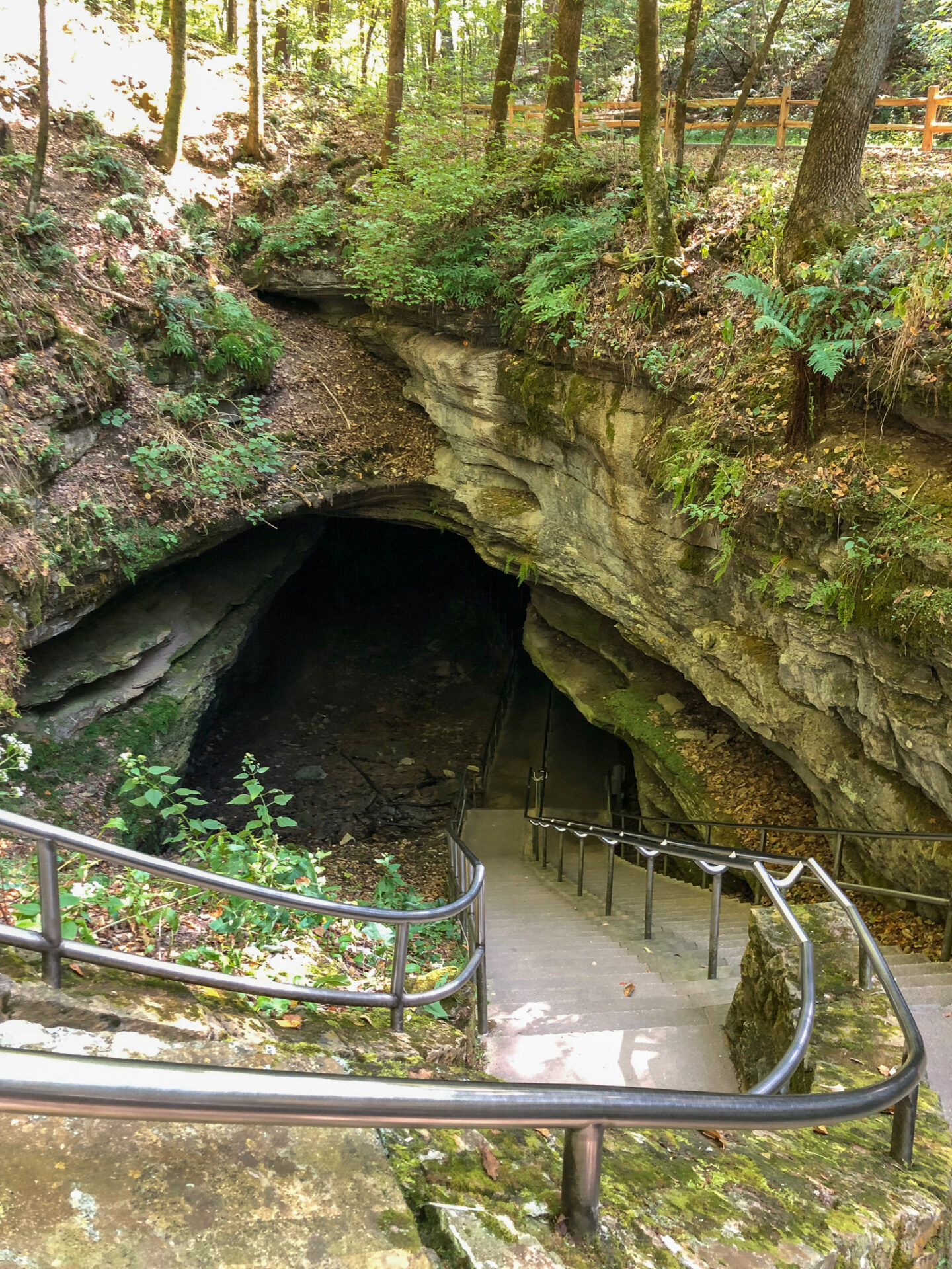 treppe-eingang-mammoth-cave-kentucky_foto-ralf-johnen Eingang zu einer Höhle im Nationalpark Mammoth Cave in Kentucky