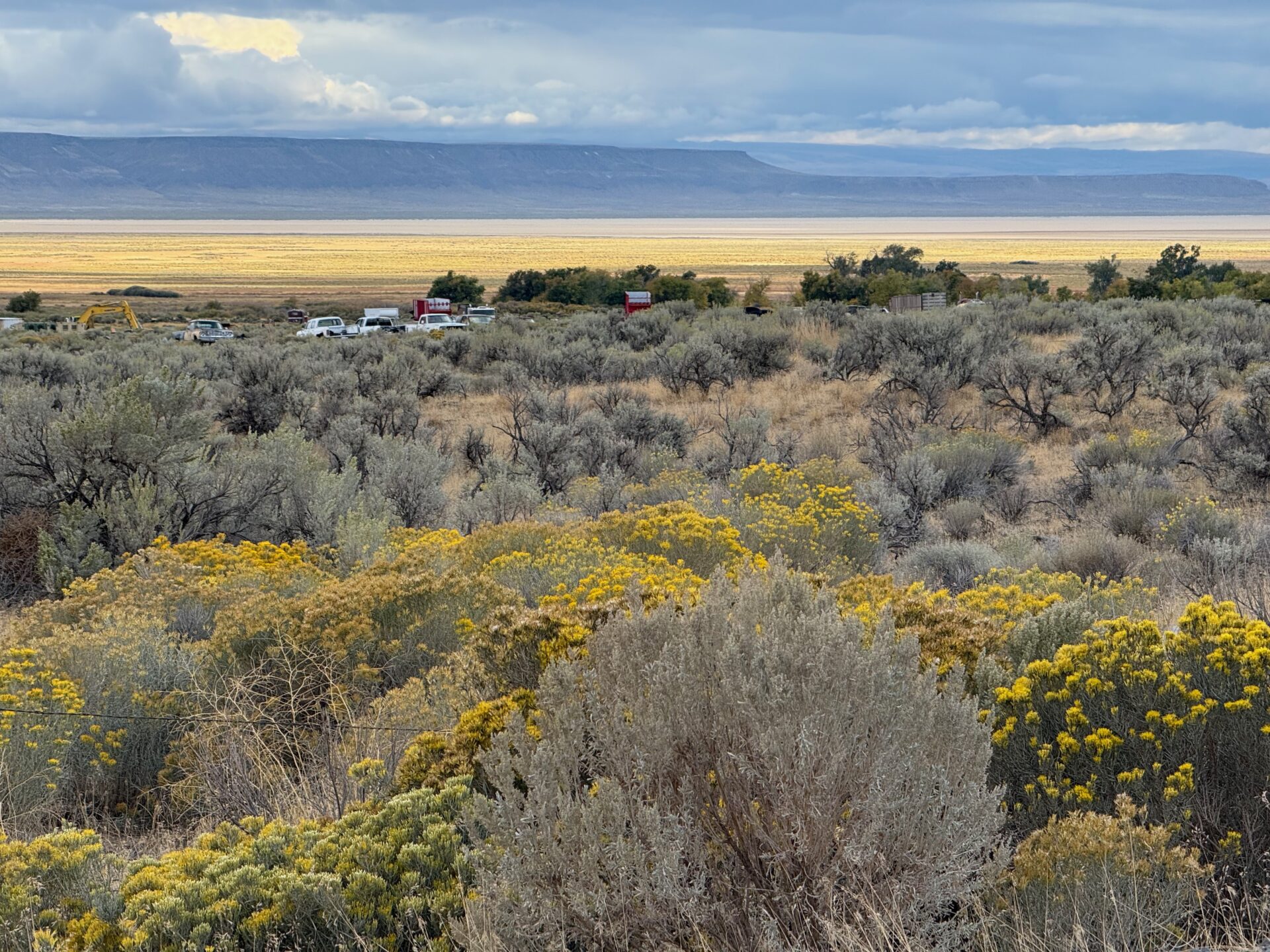 Wüstenbeifuß (Sagebrush) vor Alvord Desert