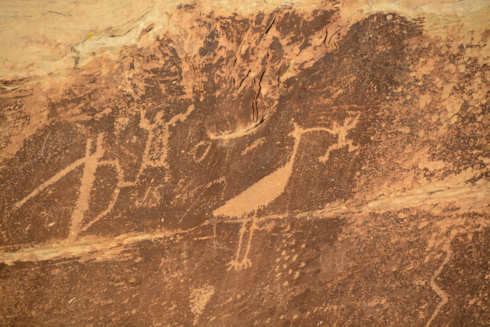 Ein Petroglyph im Petrified Forest im Südwesten der USA zeigt einen Ibis mit einem Kind im Mund