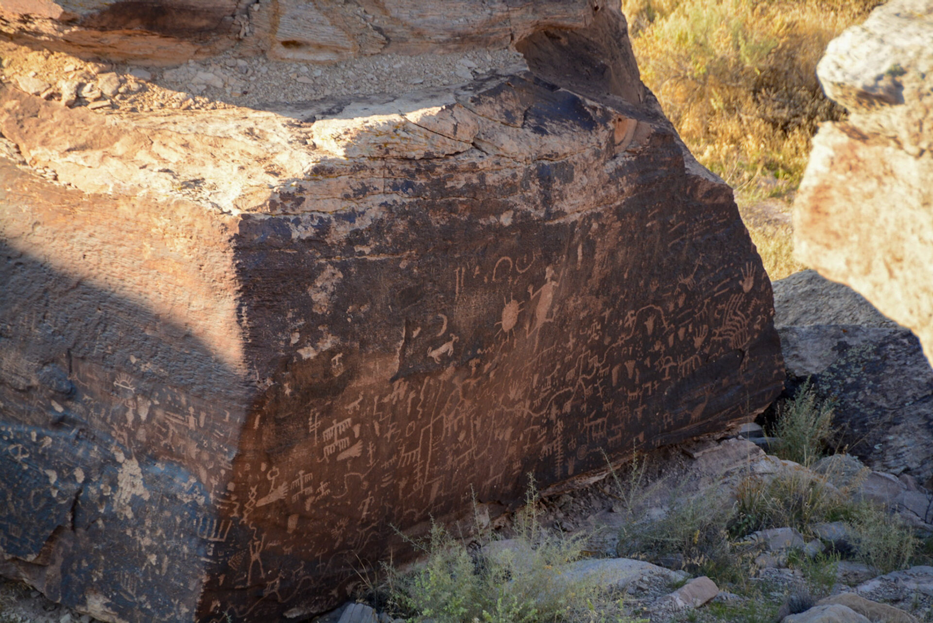 Petroglyphen des indigenen Volkes der Anasazi auf einem Stein im Nationalpark Painted Desert/Petrified Forest im Südwesten der USA