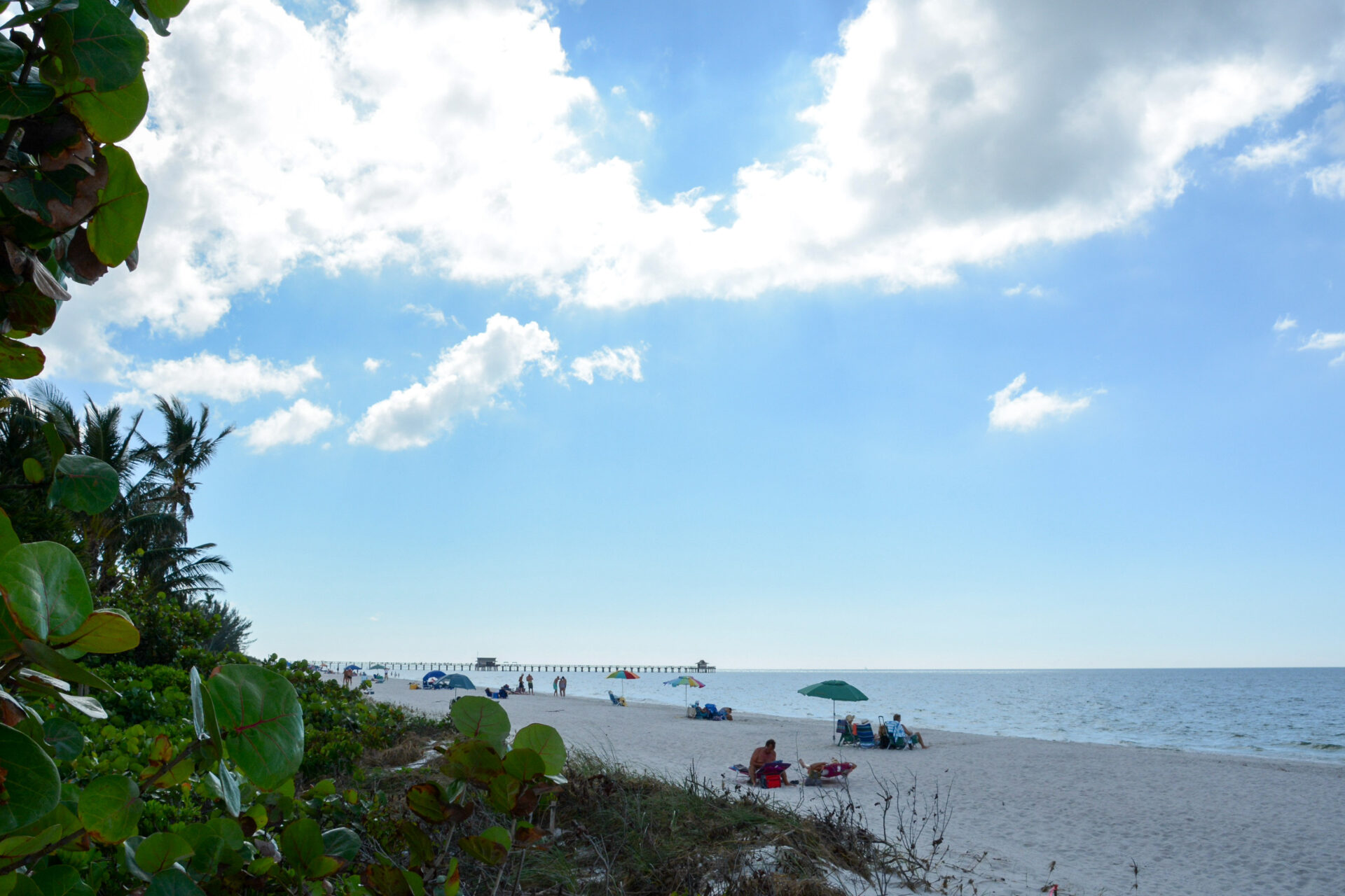 Blick auf den Strand von Naples an Floridas Golfküste mit tropischer Ufervegetation