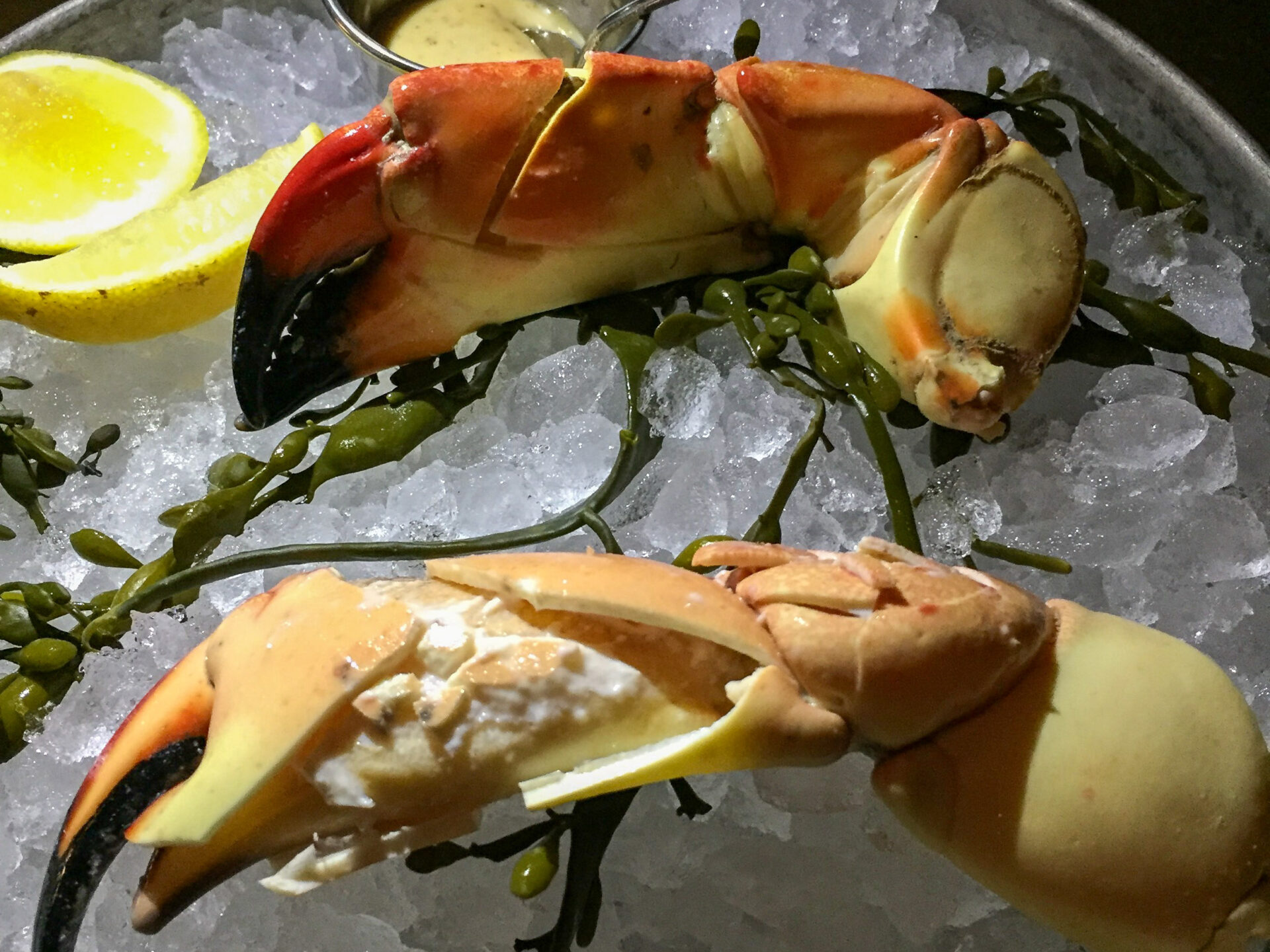 Stone Crab auf Eis sind das beliebsteste Seafood in Fort Lauderdale